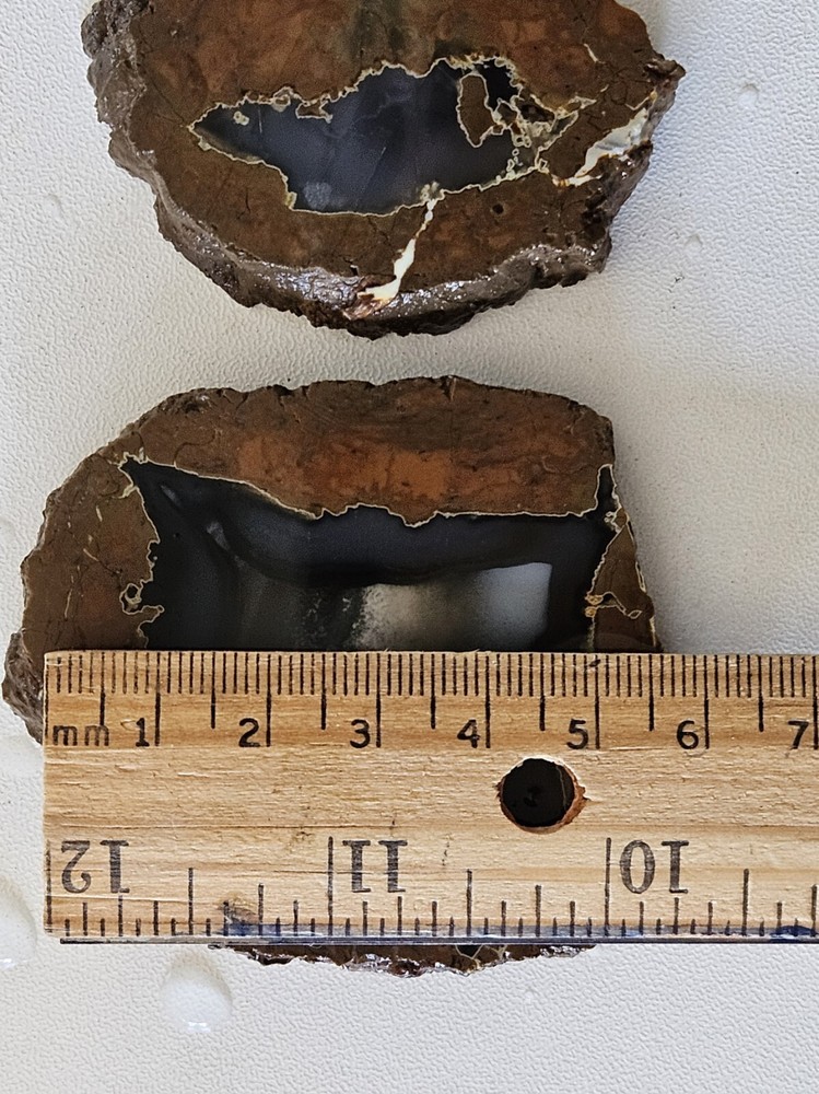 Two Priday Agate slabs Unpolished Oregon 89 Grams