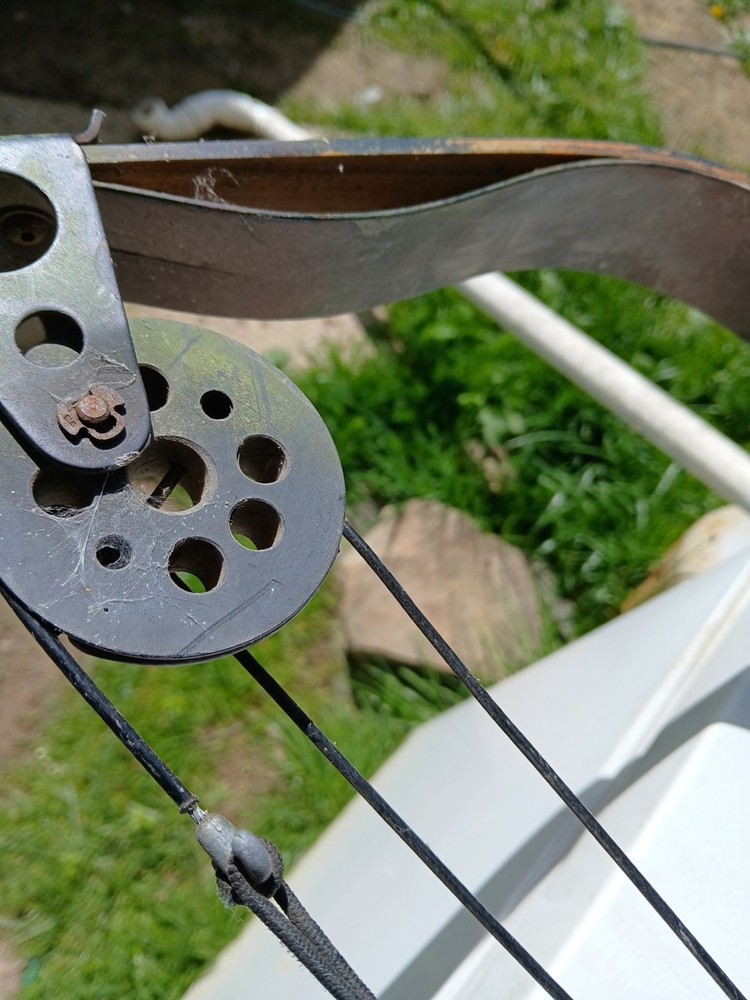 Vintage bear Compound Bow Archery Hunting Camouflage