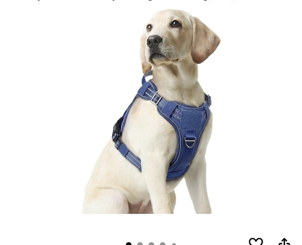 Dog Harness Medium Blue Measure Your Dog