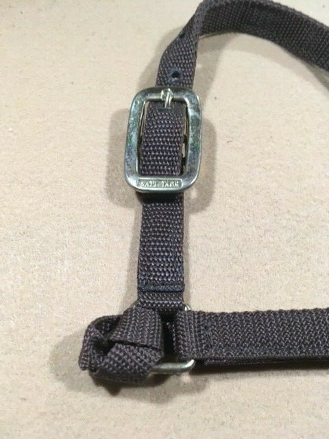 Lamb Halter - 3/4" - Brown Webbing - Medium - Pack of 2 (B210)