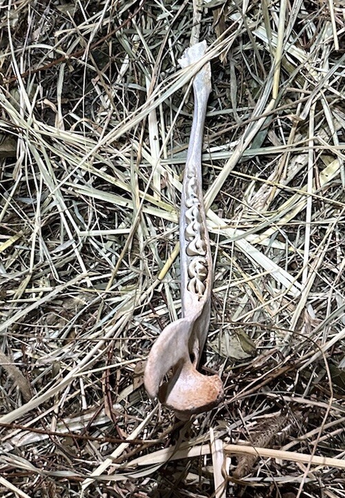 Small Cow Jaw Bones