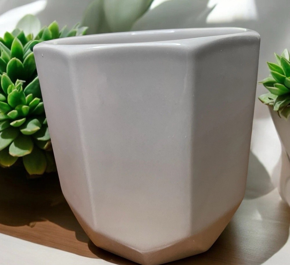 Geometric Phalarnopsis Planter Bright Light Orchid Garden Ceramic