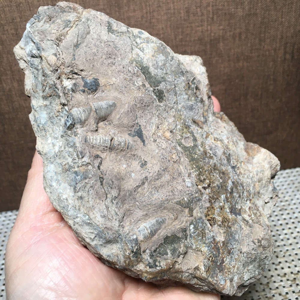 508g Natural crystal specimens md3198