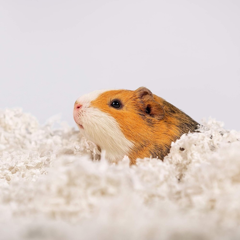 PETSPICK Uber Soft Paper Pet Bedding for Small Animals, Confetti Multi, 56 L