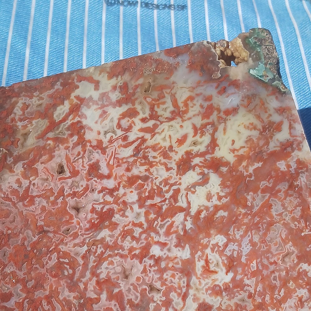 BIG Moss Agate Slab Ready For Lapidary