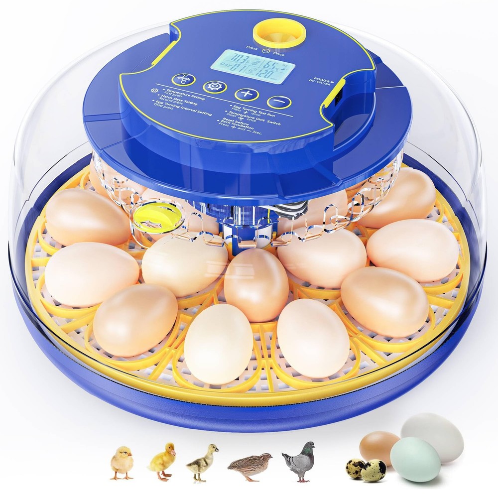 18 Chicken Egg Incubators for Hatching Eggs: Egg Incubator with Automatic Egg...