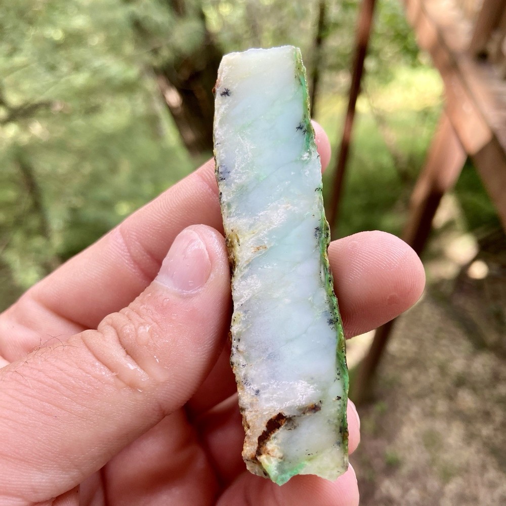 Blue Chrysoprase Rough 1.46 Oz