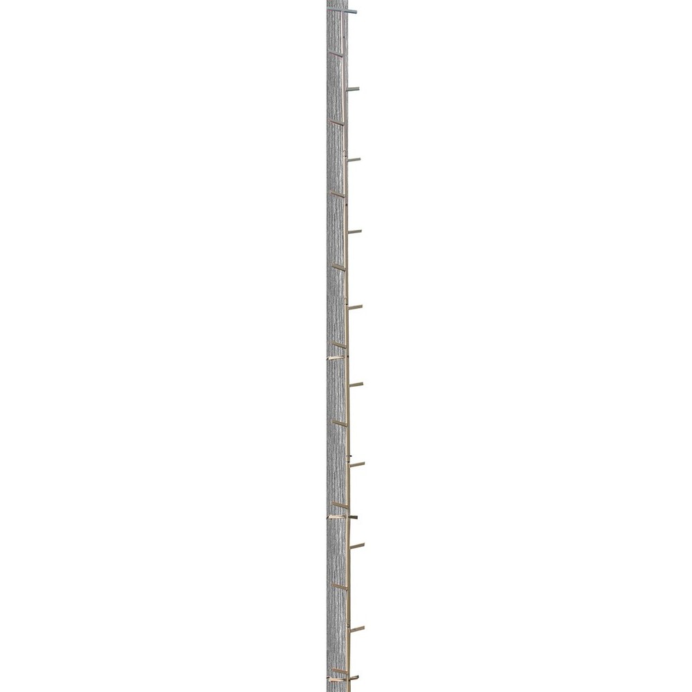 Trophy Treestands Gladiator Sticks 20 ft.