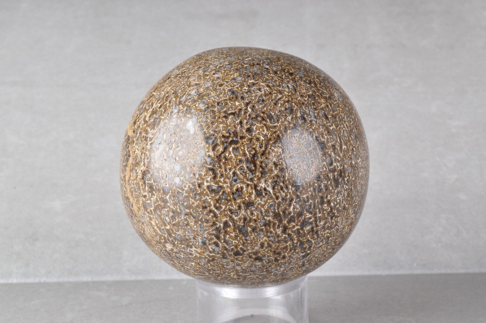 Dinosaur Bone Sphere from Morocco  6.8 cm # 21482