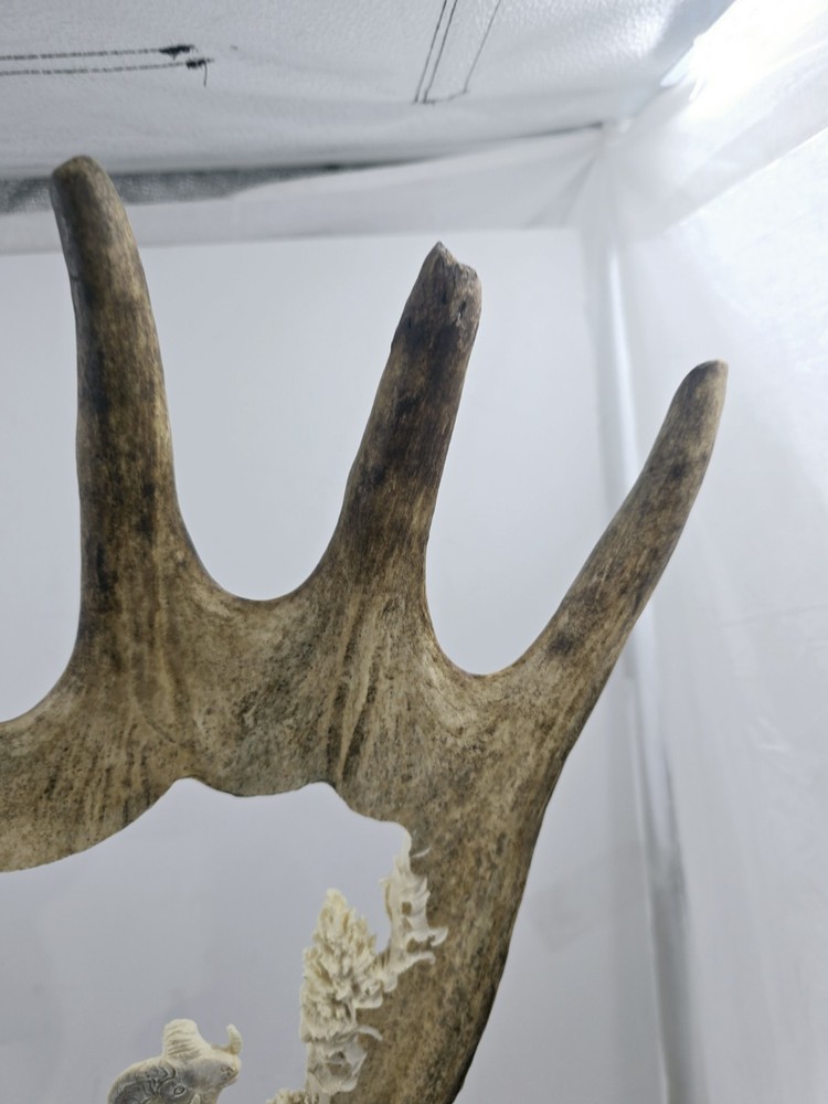 Monte Baker Moose Antler Carving 28x22"