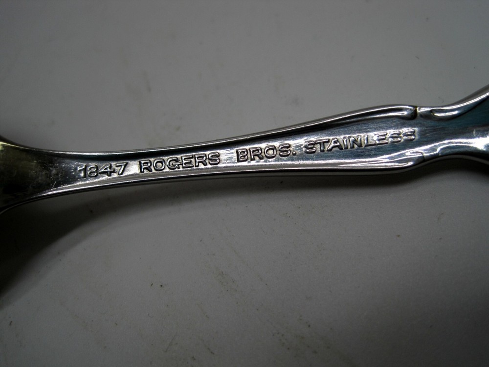 44 Pieces Cotillion Stainless Int'l Silver 1847 Rogers Bros Stainless Flatware