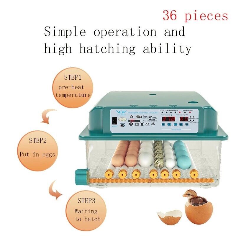 36 Eggs Incubator Chicken Incubators for Hatching Quail Automatic Egg Turning