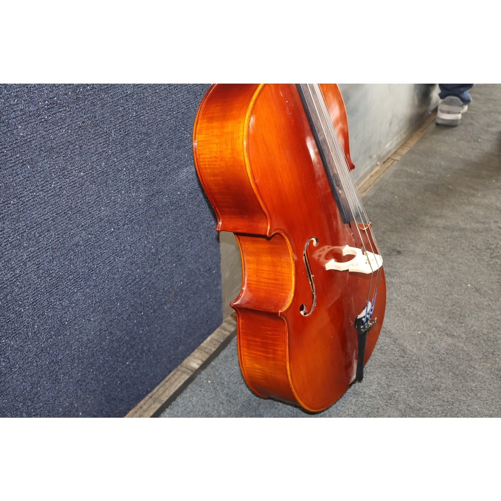 Panetto Strings 110 1/4 Size Cello