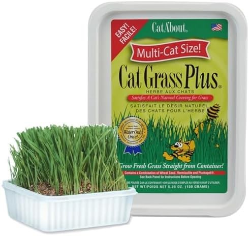 Indoor Cat Grass Kit