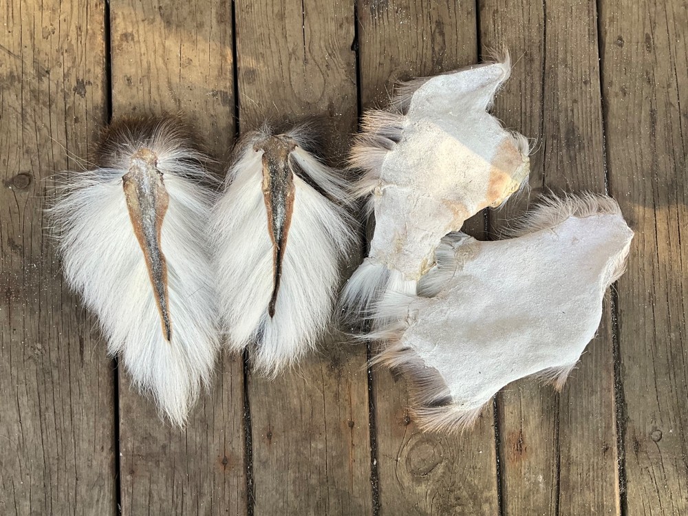 2 deer tails and 2 hide patches