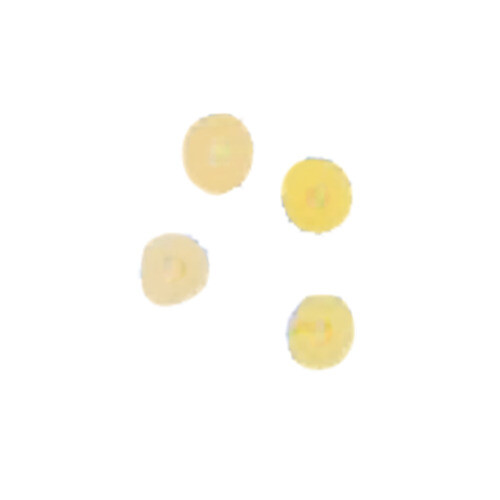 Arcobaleno AEX130 & AEX130M#281 Pasta Die