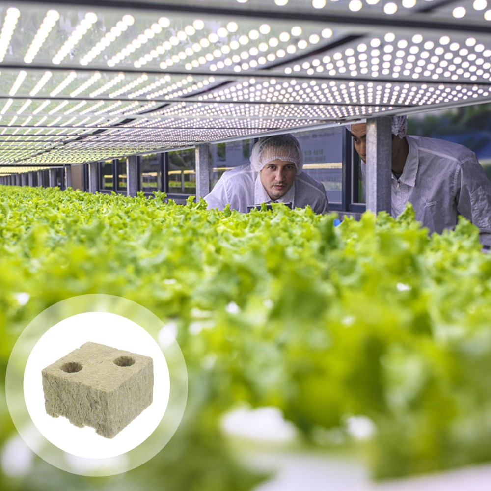 5 Pcs Vegetable Propagation Cubes Soilless Cultivation Blocks