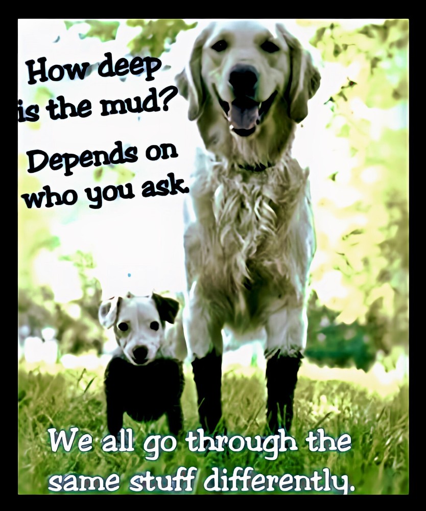 How deep is the mud? Depends We all go through the same stuff differently MAGNET
