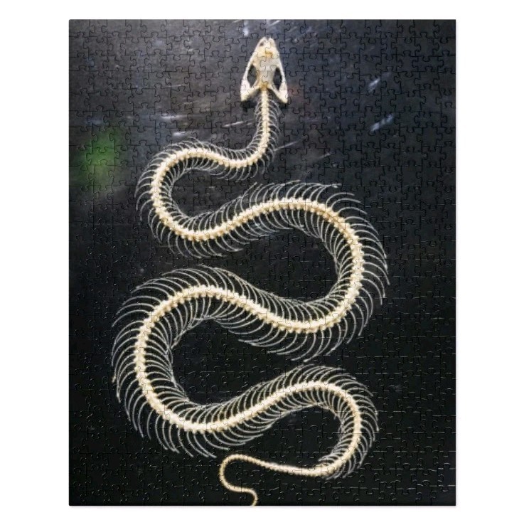 Preserved Snake Skeleton Jigsaw puzzle 520 pc