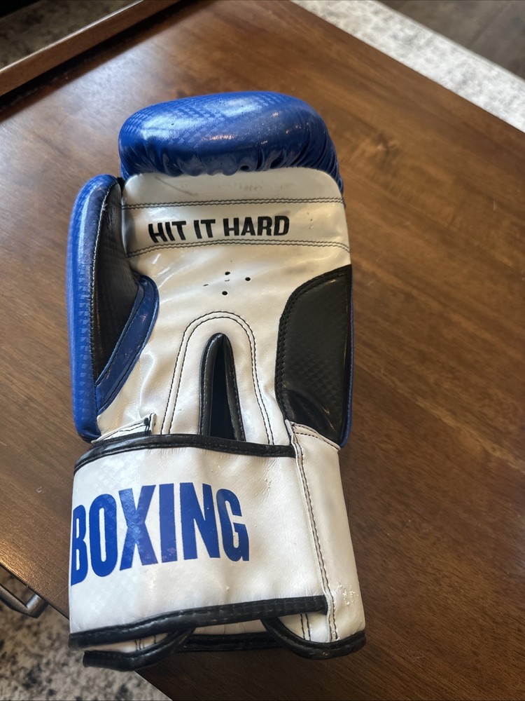 Title Boxing Gloves Blue Mens Size Large
