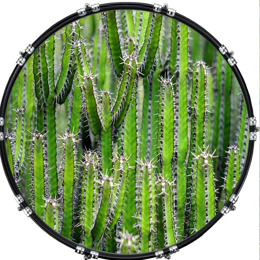 20" Custom Bass Kick Drum Front Head Skin Graphical Cactus 1