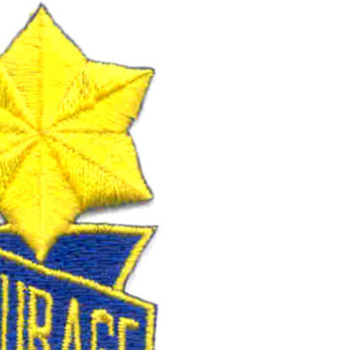 53rd Infantry Regiment Patch Courage Sanspeur