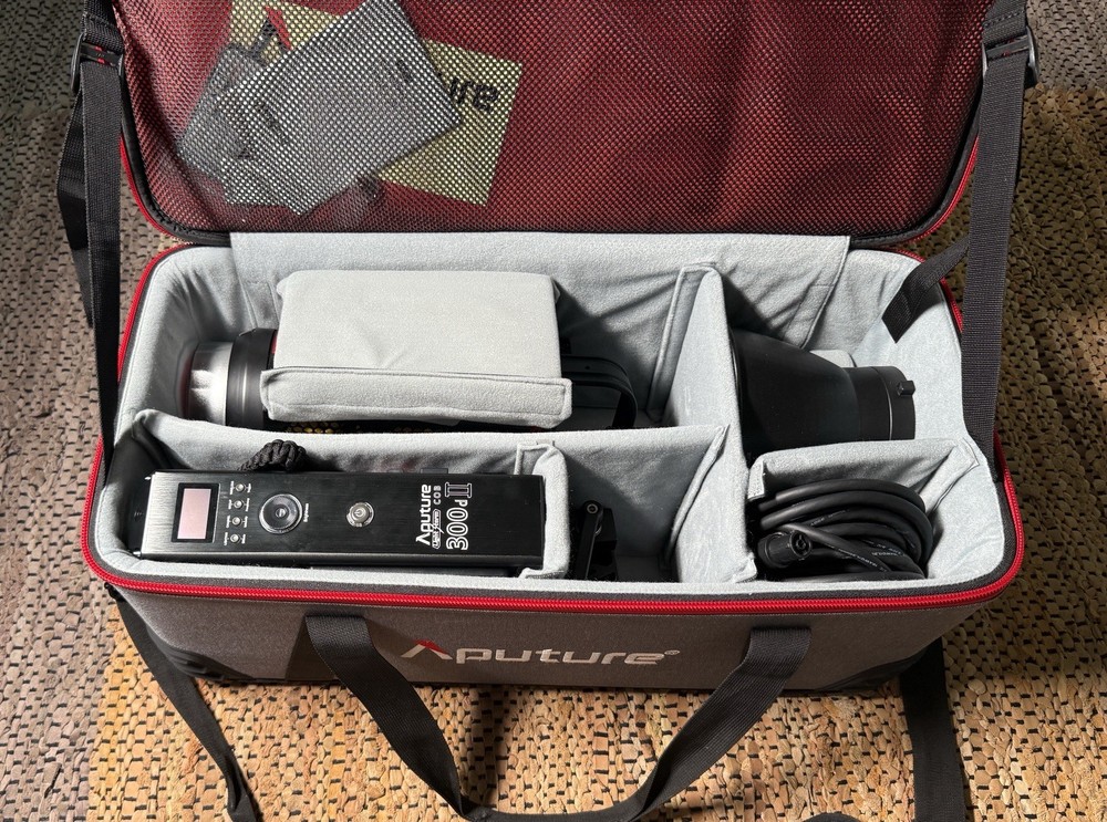 Aputure LS C300d II LED Light Kit With Case