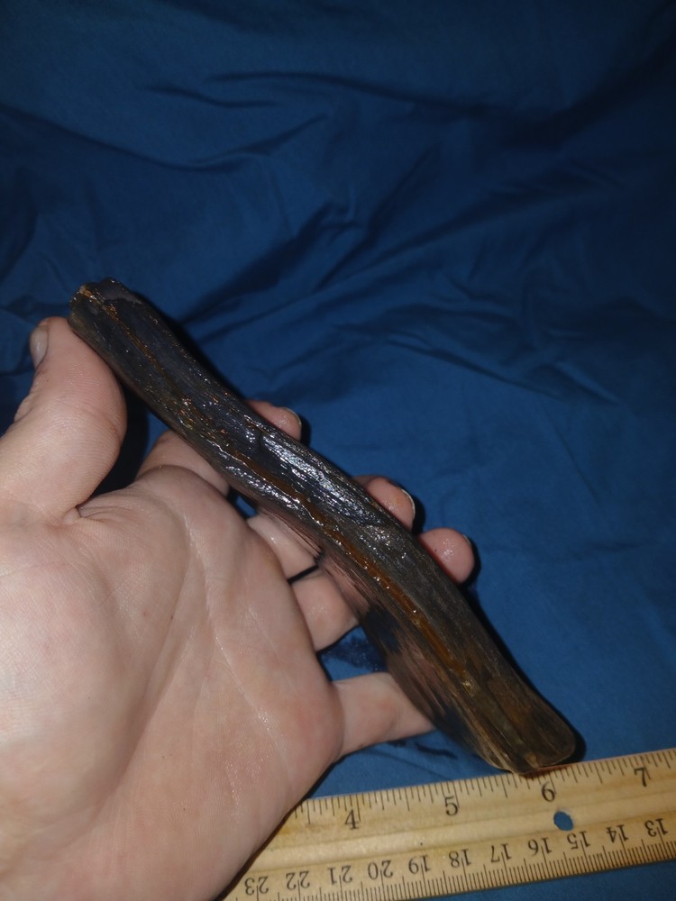 10 oz Petrified Wood