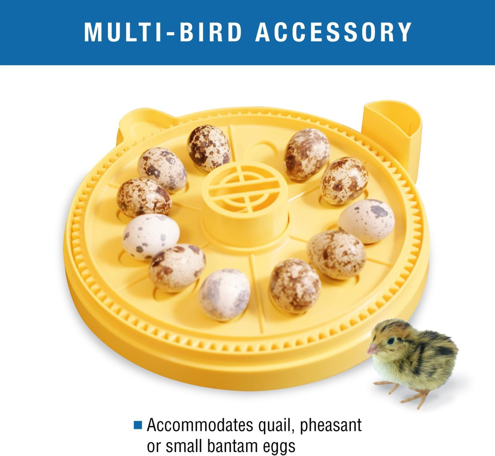 Small Egg Insert Optional Accessory for Mini Advance Incubator System, Fits 12 P