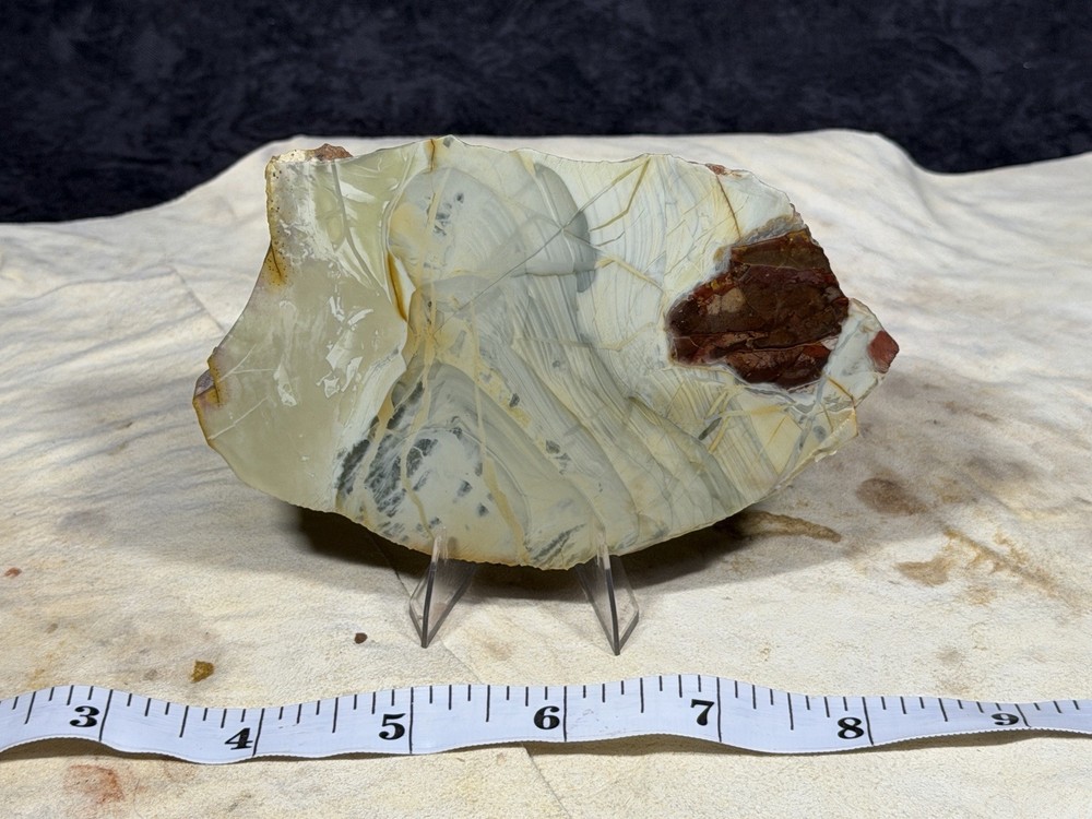 AAA+ Willow Creek Jasper Slab, Lot #273