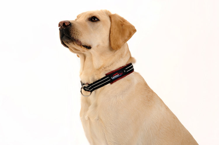 ComfortFlex Limited Slip Collar Padded Nylon Adjustable Reflective