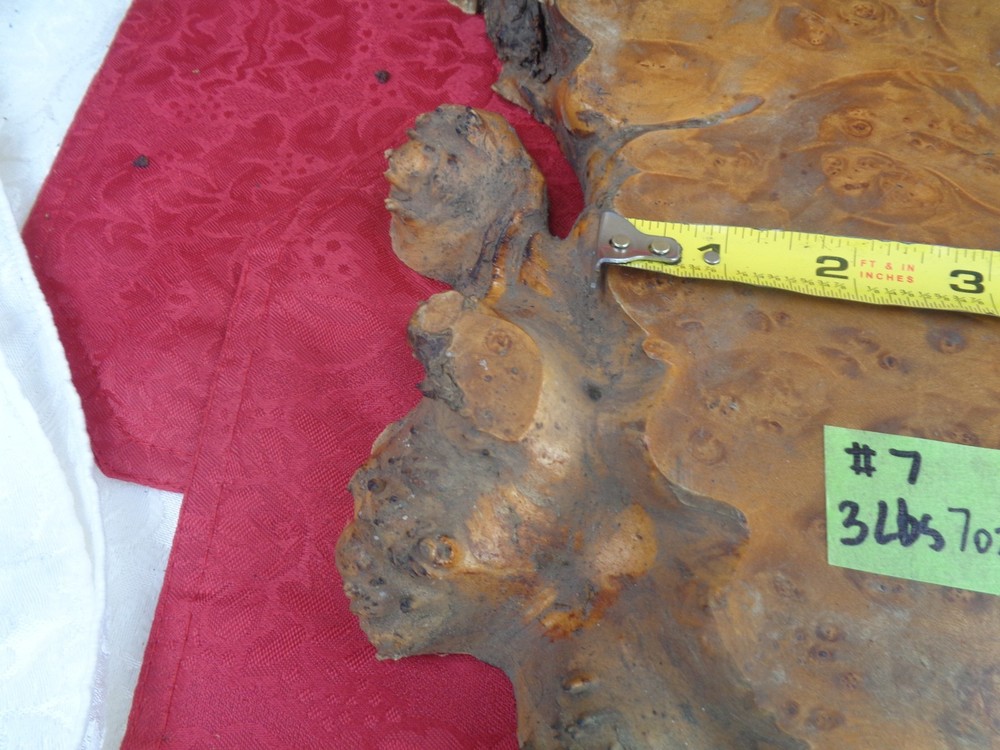 Burlwood Tree Slice #7