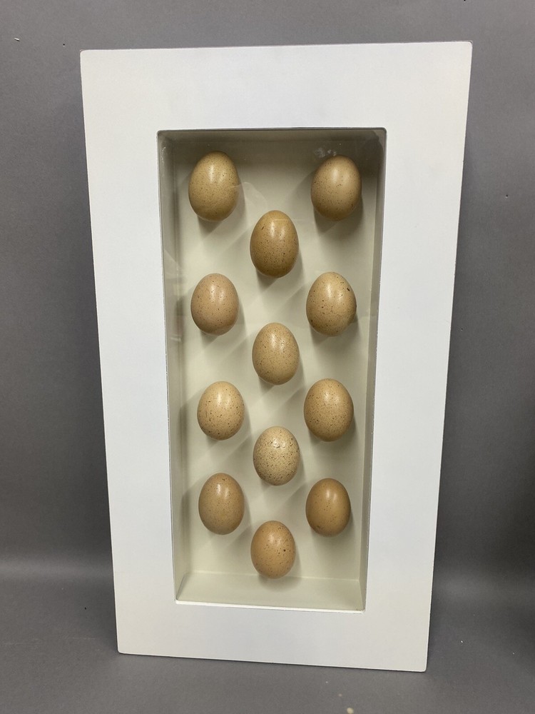 TWO Egg Shadow Boxes Made from 18 Real Hen Eggs