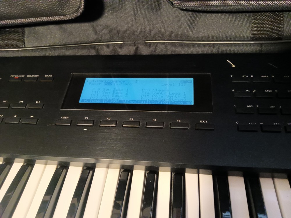 Roland W-30 Workstation Keyboard Piano Synth Sampler Sequencer W Case & Discs 🎹