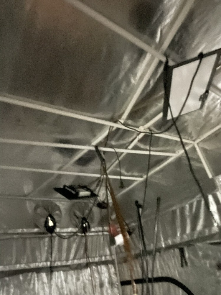 Gorilla Grow Tent 4x8