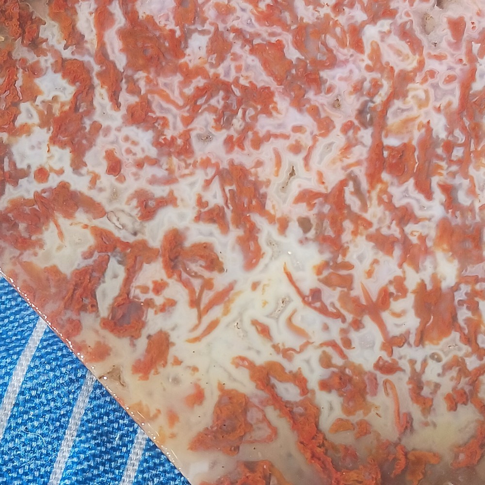 BIG Moss Agate Slab Ready For Lapidary