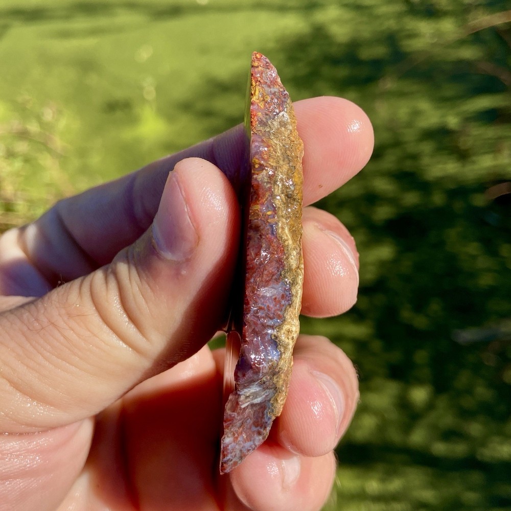 Sagenite Agate End Cut Vibrant!