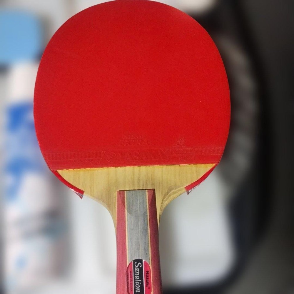 Nittaku Table Racket Set