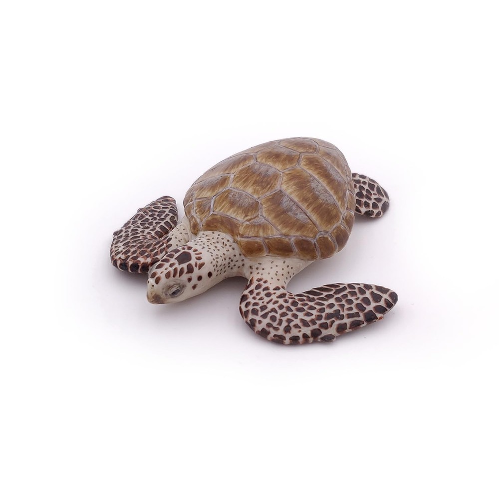 Papo - Loggerhead Turtle - from 3 Years Old - Marine Life Small, Multicolor