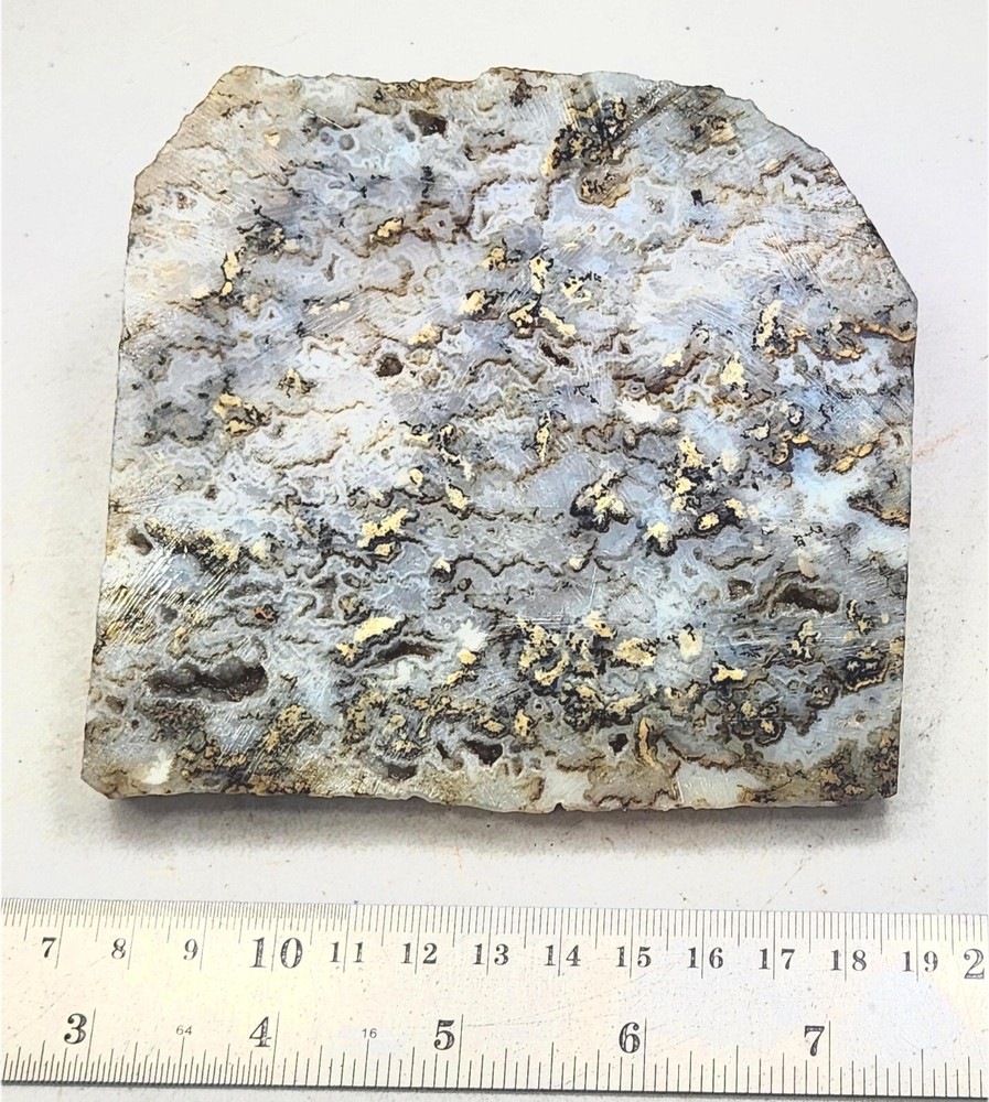 Graveyard Point Plume Agate Large Slab for Cab Cutting Rough