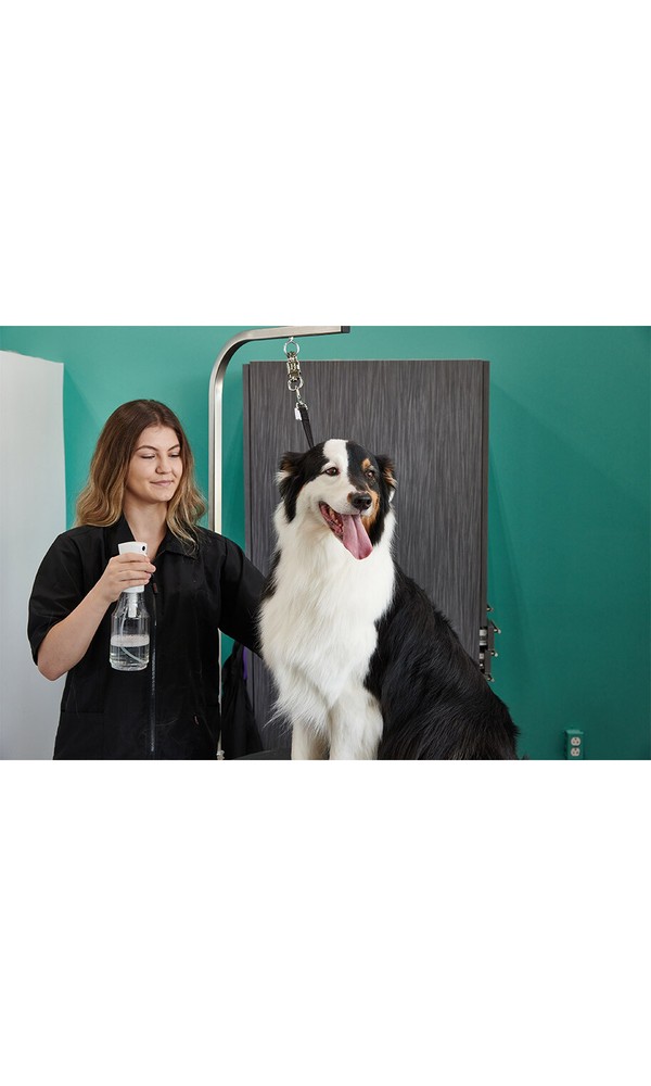 Groomer Essentials Continuous Spray Bottle 24 oz.