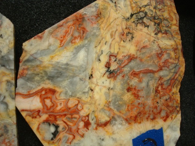 australlian crazy lace 2 slabs