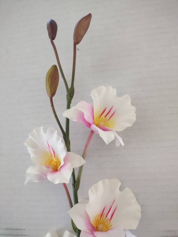 Artificial miltoniopsis orchid stem CREAM and PINK BLUSH