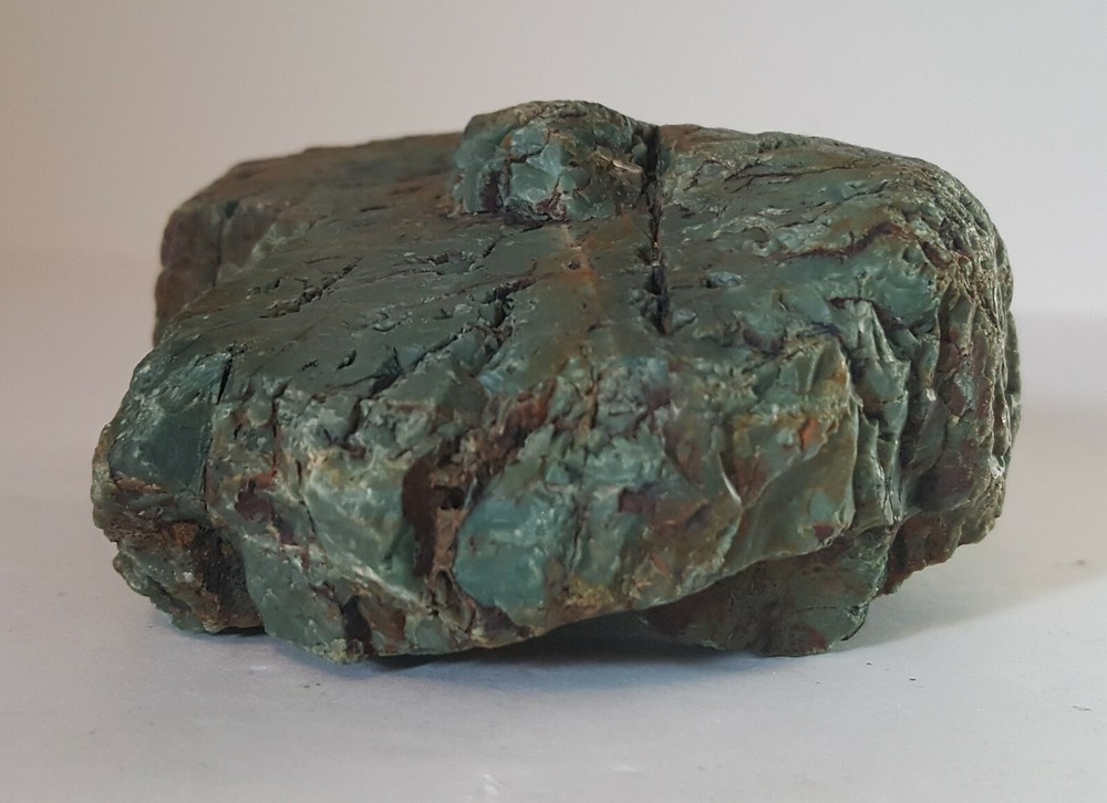 Petrified Wood Greenish, Rust, Black
