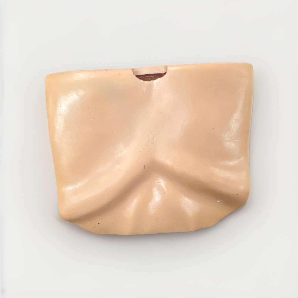 Simulaids FAST1 Trainer