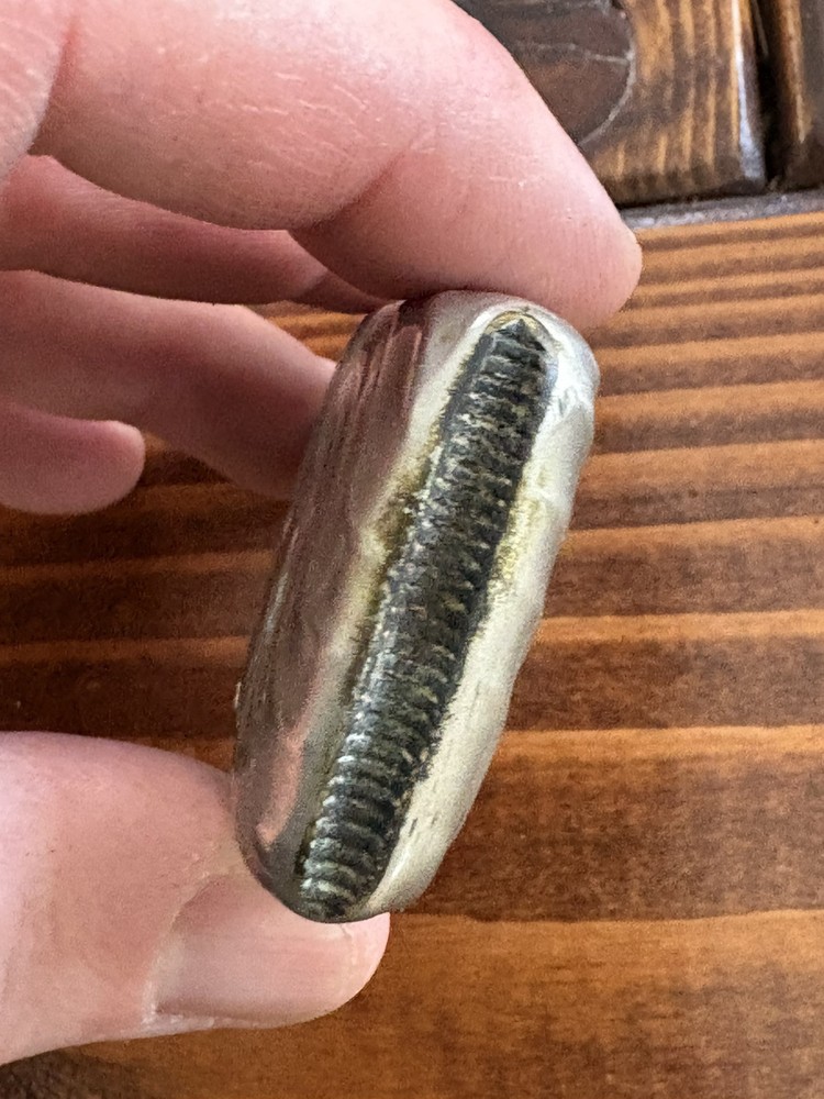 .800 Silver Antique Match Safe