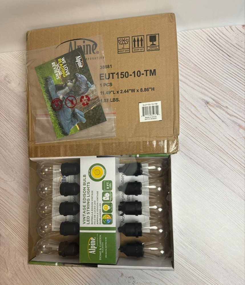 10ct Integrated LED Edison Bulb String Lights with Timer - Black Wire - Alpine