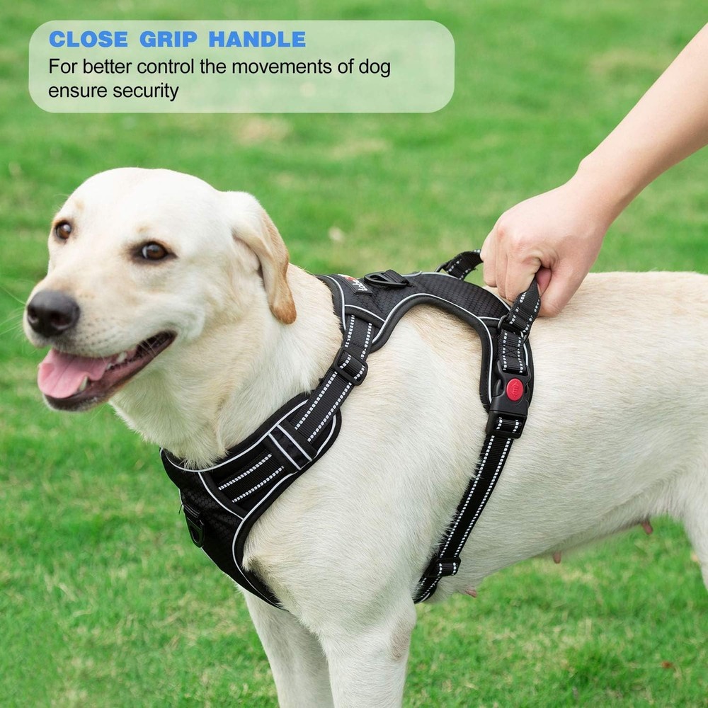Large Dog Harness Leash Adjustable Comfortable Easy Control Durable Machinewash