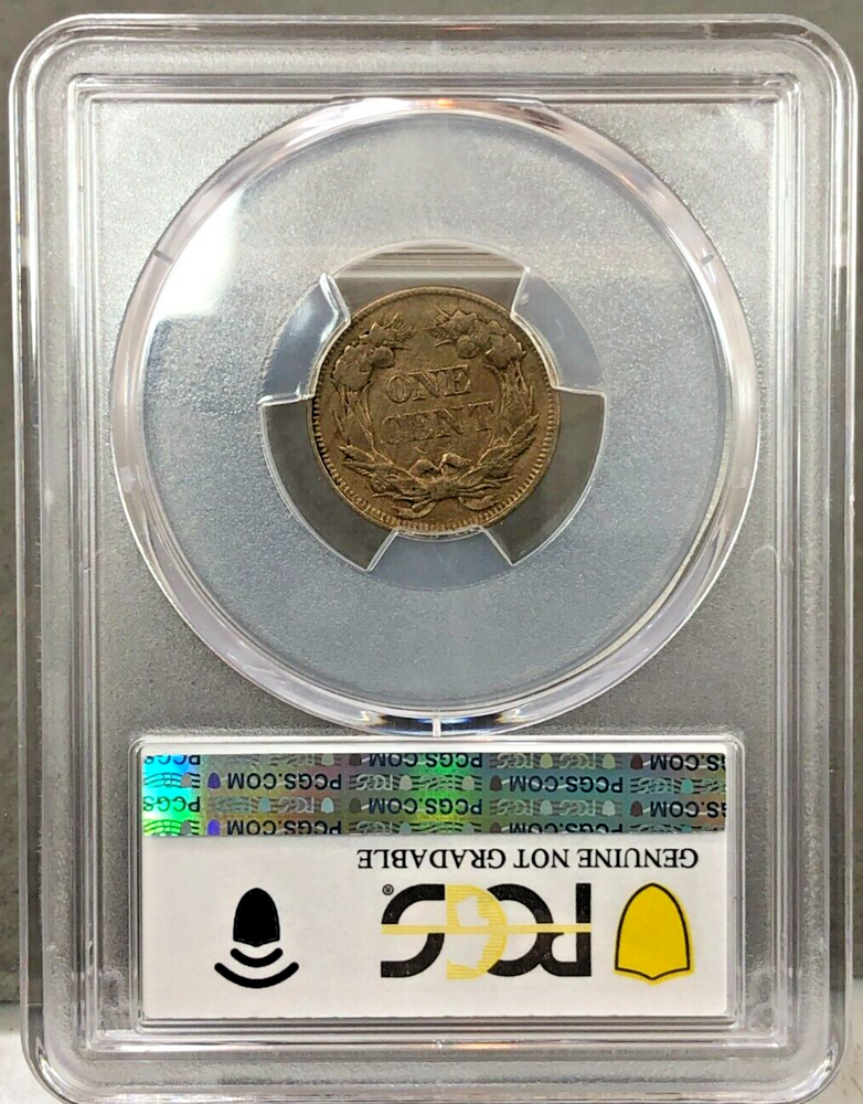 1858/(7) 1c Flying Eagle Cent PCGS VF DETAILS (Weak) ~ CLEANED??