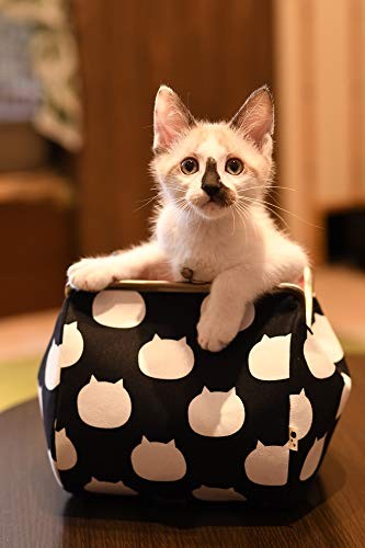 Nekotama Canvas Cut Fabric, 50cm